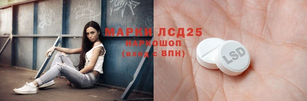 винт Абаза