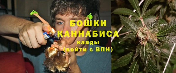 PSILOCYBIN Лихославль