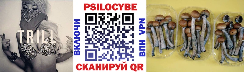 Галлюциногенные грибы ЛСД  OMG онион  Нестеровская  купить  