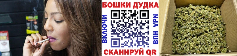 наркота shop телеграм Бошки Шишки ГИДРОПОН Нестеровская